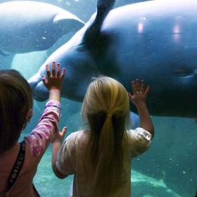 Odense Zoo