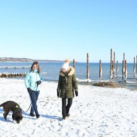 Gåtur på Østerstrand i vintervejr