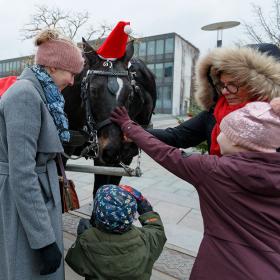 Tag med hestevognen rundt i Fredericias gader