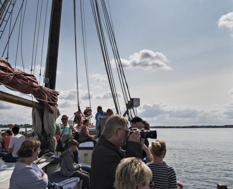 Hvalsafaritur på Lillebælt