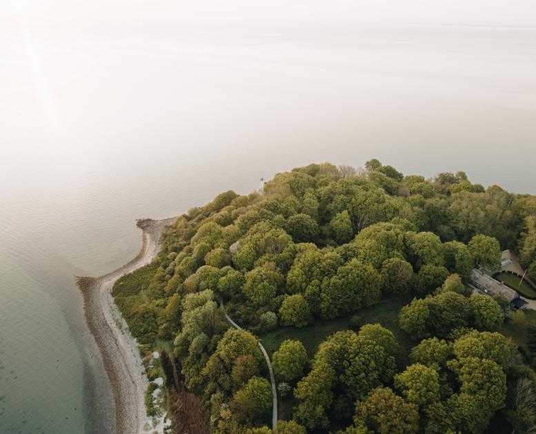Trelde Næs skov